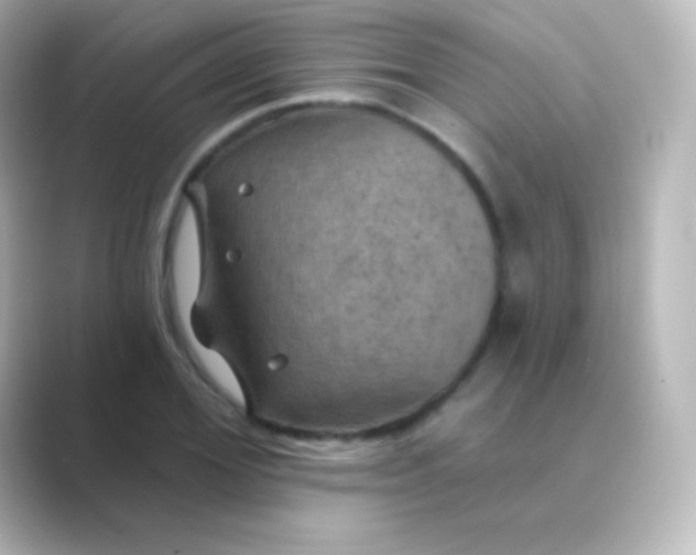 X0000088690980200706211924