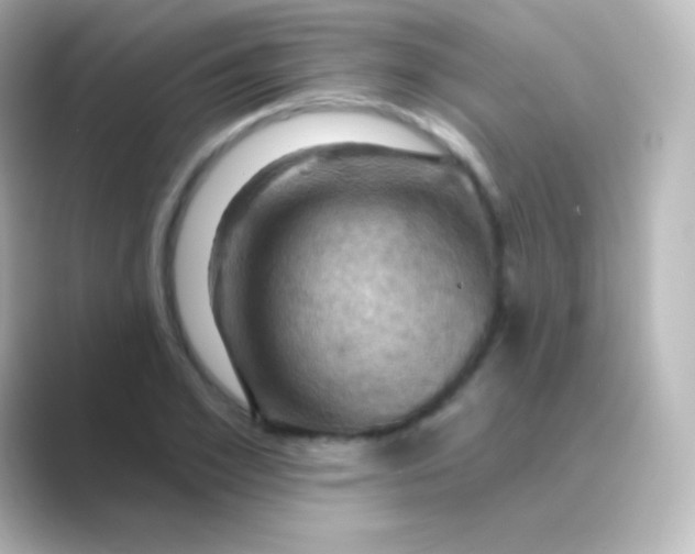 X0000088690981200706211924