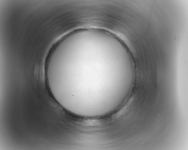 X0000088690982200706211924