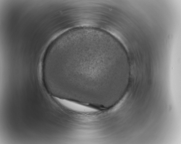 X0000088690983200706211924