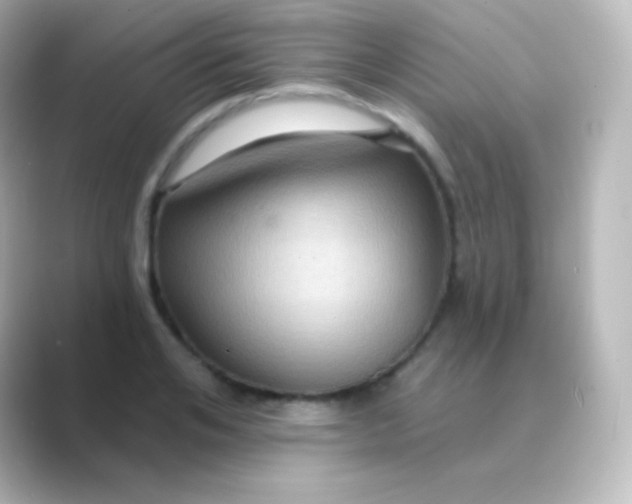 X0000088690984200706211923