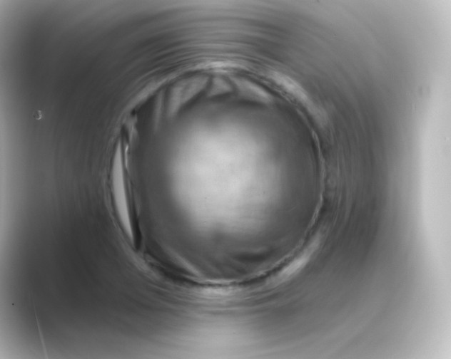 X0000088690985200706211923