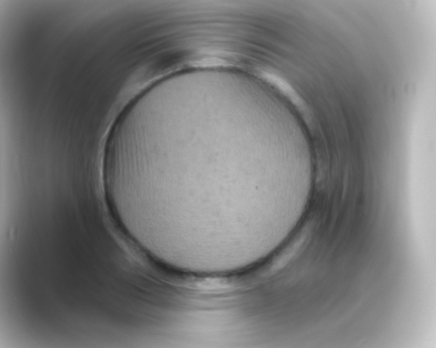 X0000088690986200706211923