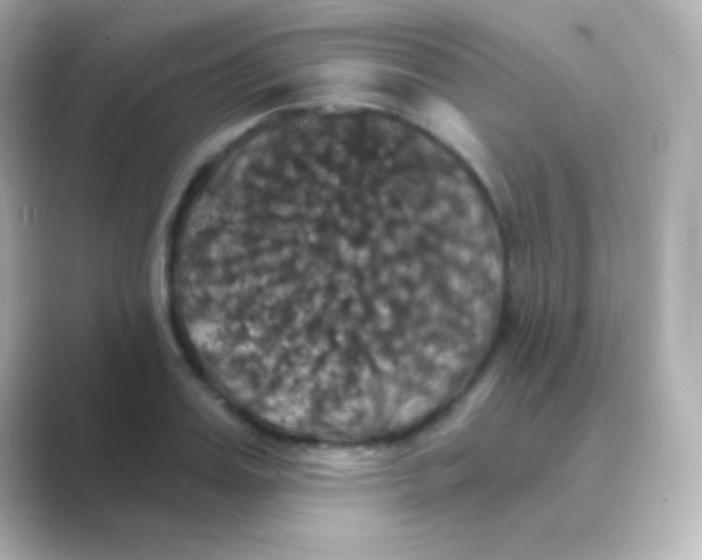 X0000088690987200706211923