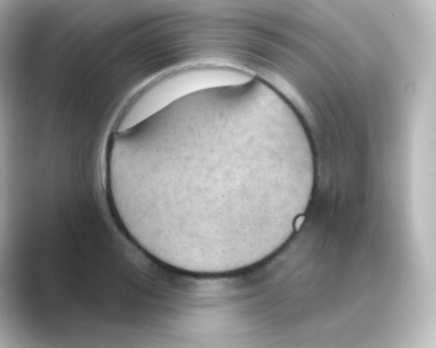 X0000088690988200706211923