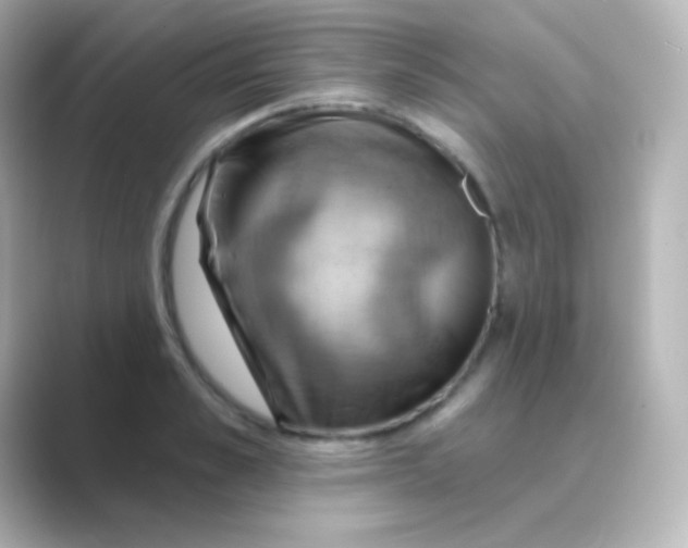 X0000088690989200706211923