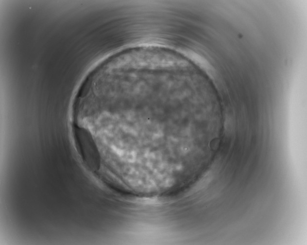 X0000088690990200706211923