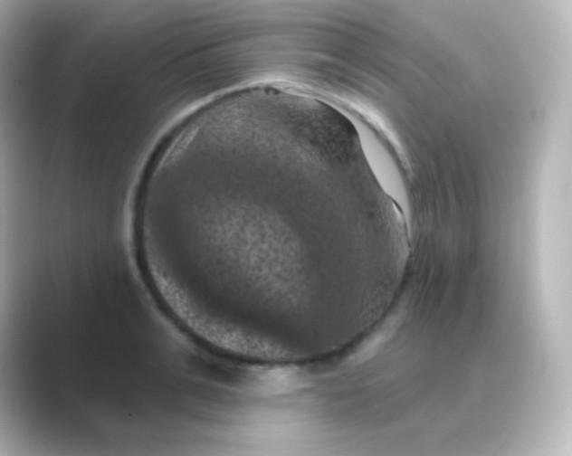 X0000088690991200706211923