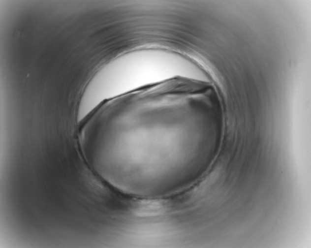 X0000088690993200706211923