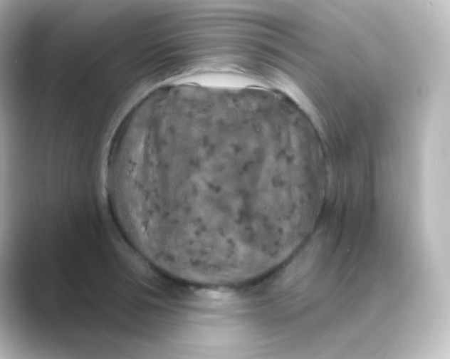 X0000088690994200706211923