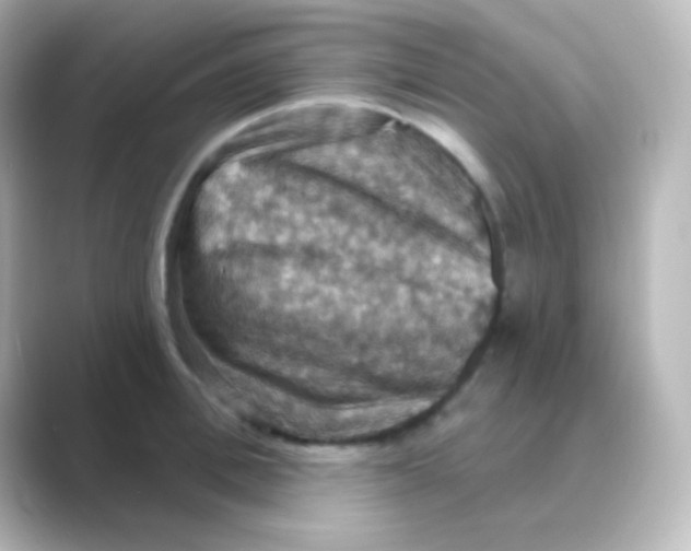 X0000088690996200706211923