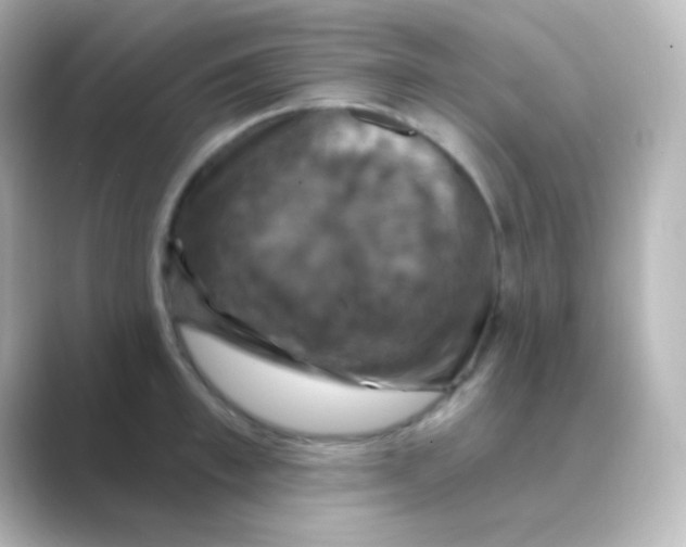 X0000088690997200706211923
