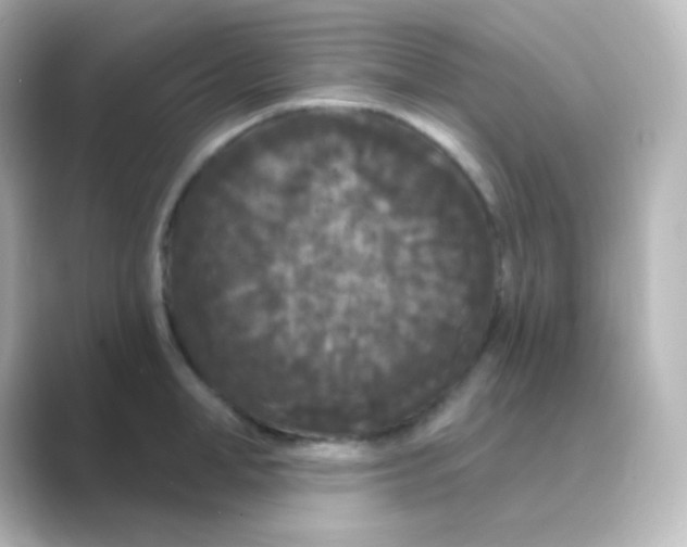 X0000088690998200706211923