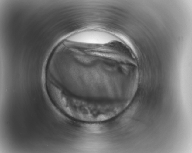 X0000088690999200706211923