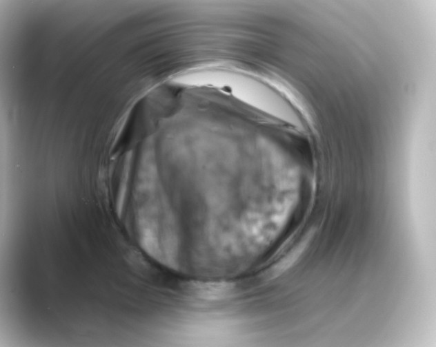 X0000088691001200706211923