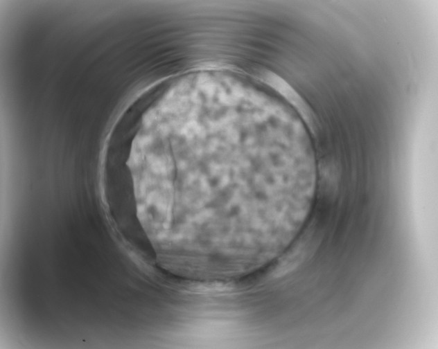 X0000088691002200706211923