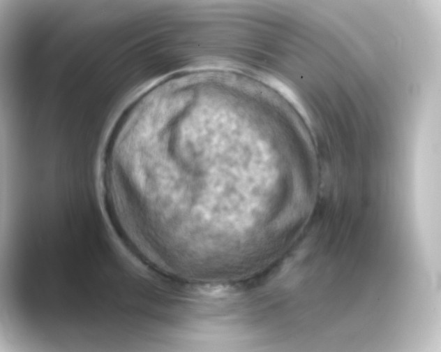 X0000088691003200706211923