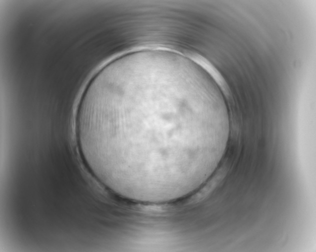 X0000088691004200706211923