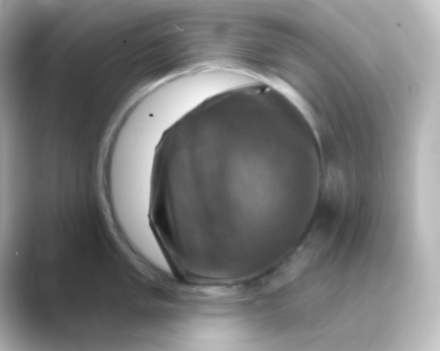 X0000088691005200706211923