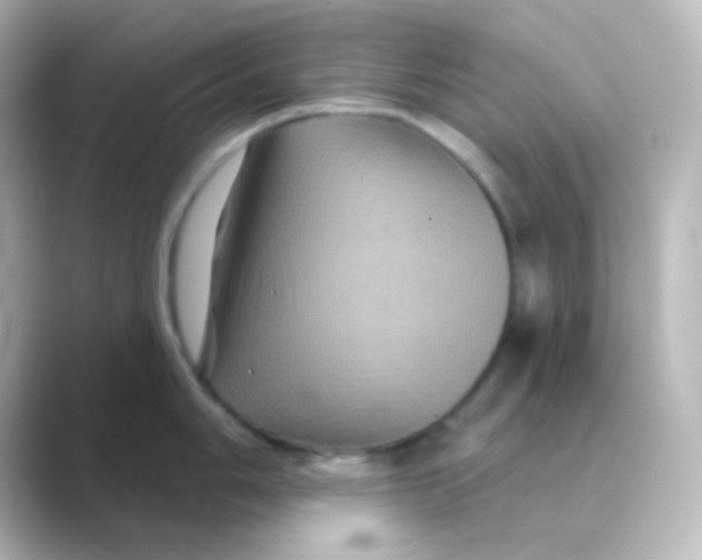 X0000088691006200706211923