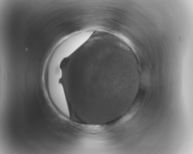 X0000088691007200706211923