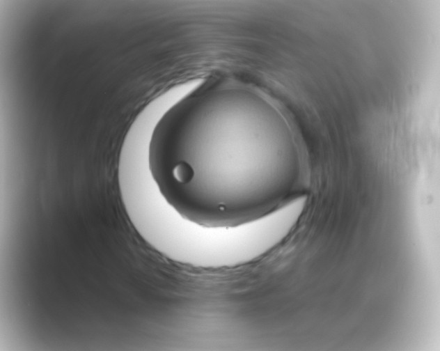 X0000088691010200706211923