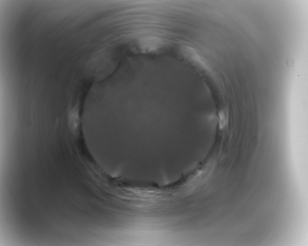X0000088691011200706211923