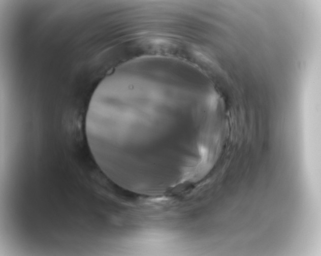 X0000088691013200706211923