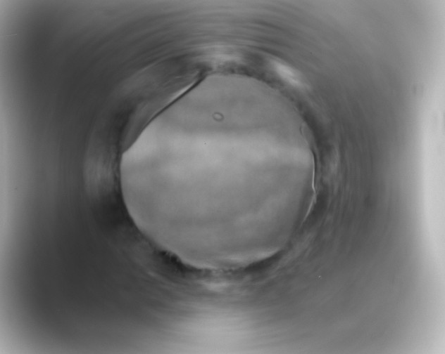X0000088691014200706211923