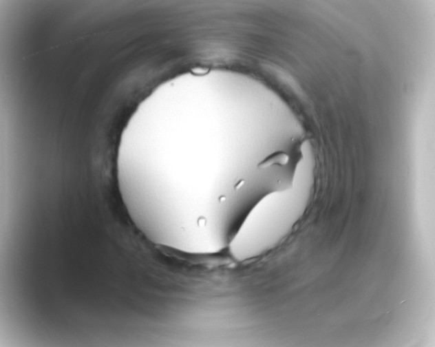 X0000088691016200706211923