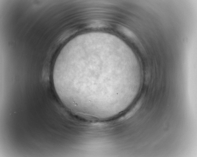 X0000088691017200706211923