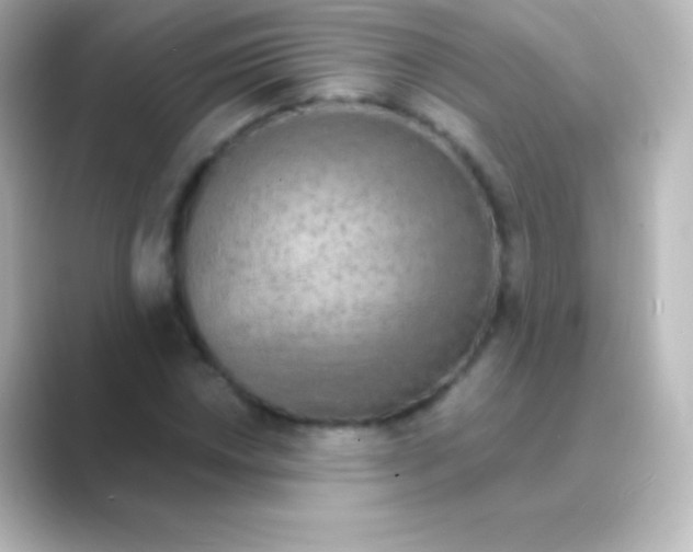 X0000088691018200706211923