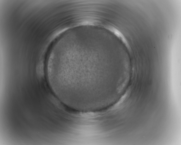 X0000088691019200706211923