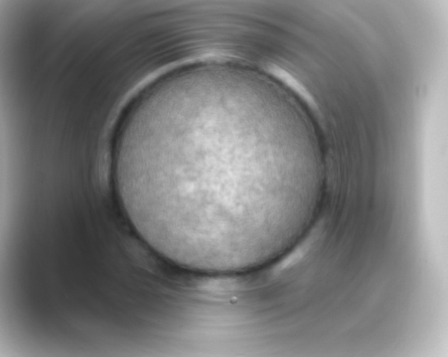 X0000088691021200706211923