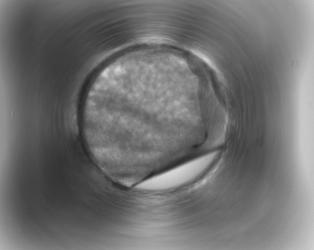 X0000088691022200706211923