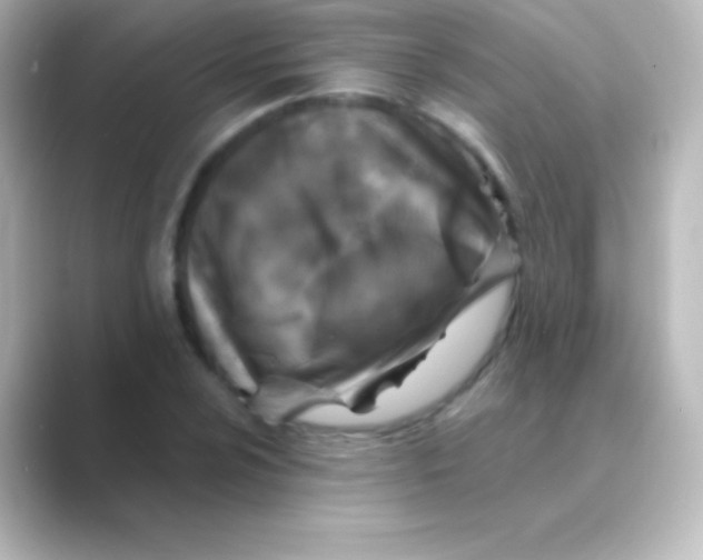X0000088691024200706211923