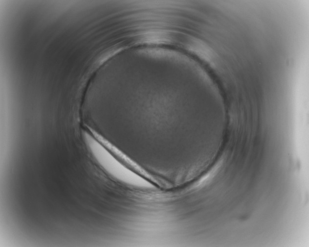 X0000088691025200706211923