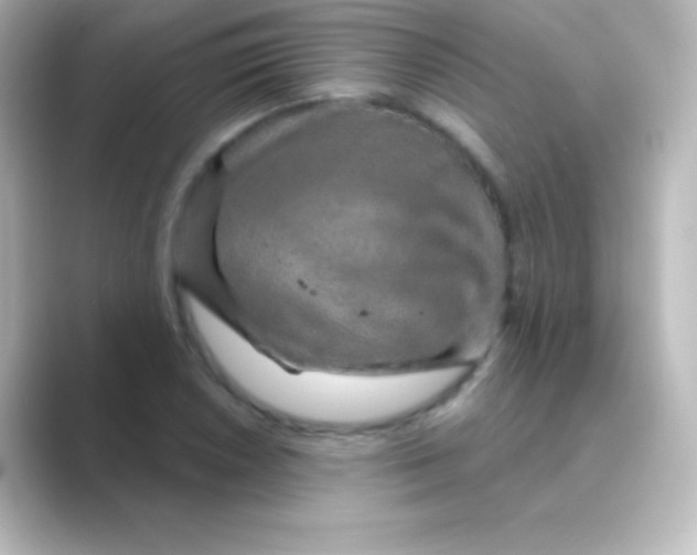 X0000088691026200706211923
