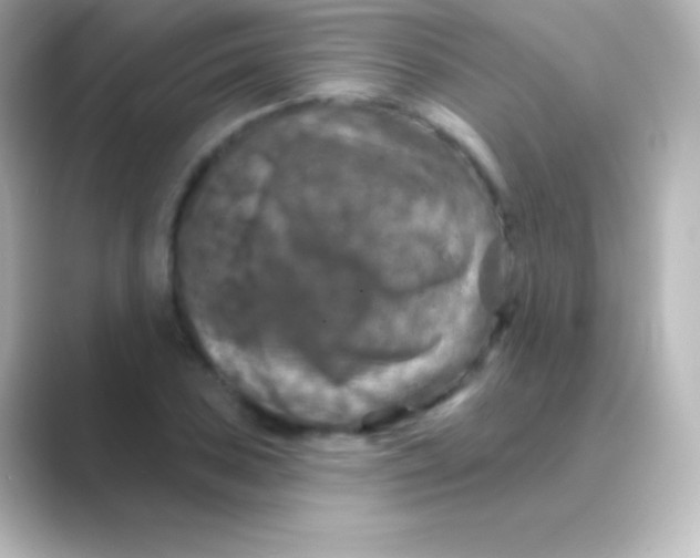 X0000088691027200706211923