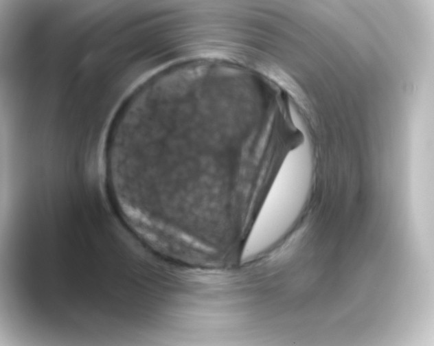 X0000088691028200706211923