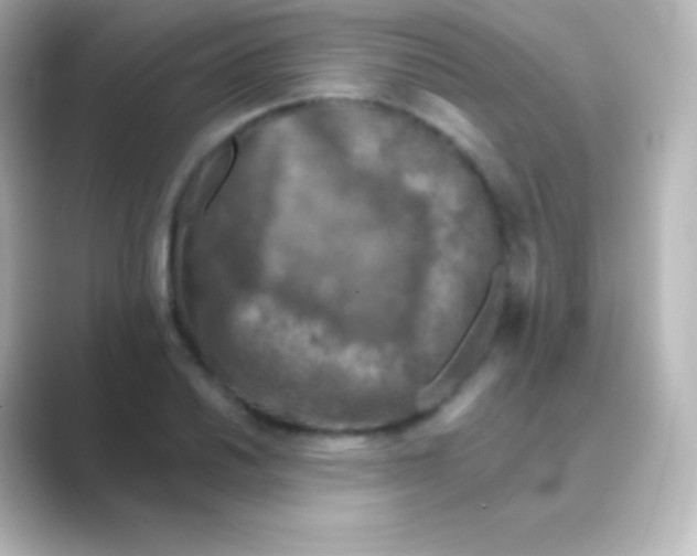 X0000088691030200706211923