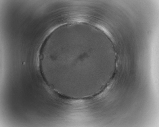 X0000088691031200706211923