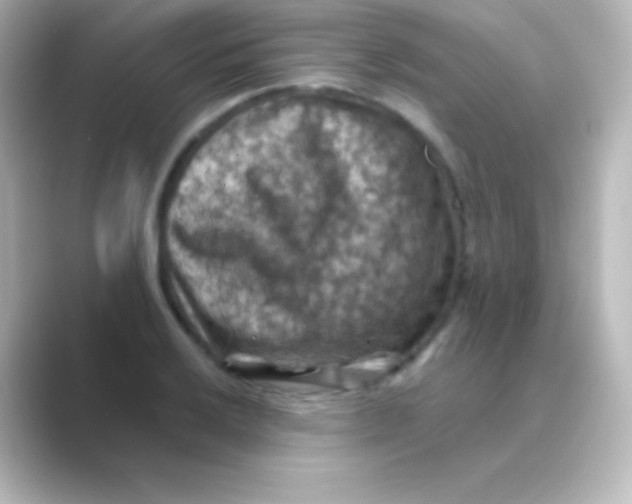 X0000088691032200706211923