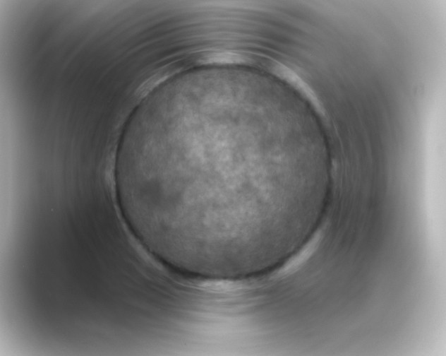 X0000088691033200706211923