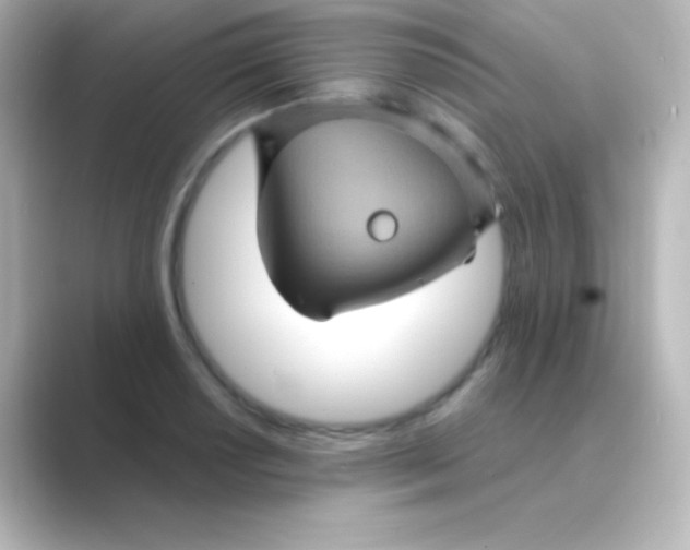 X0000088691034200706211923