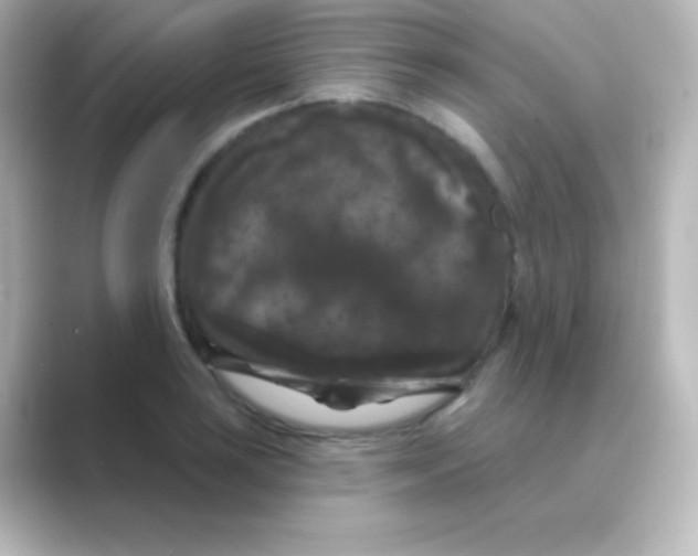 X0000088691035200706211923