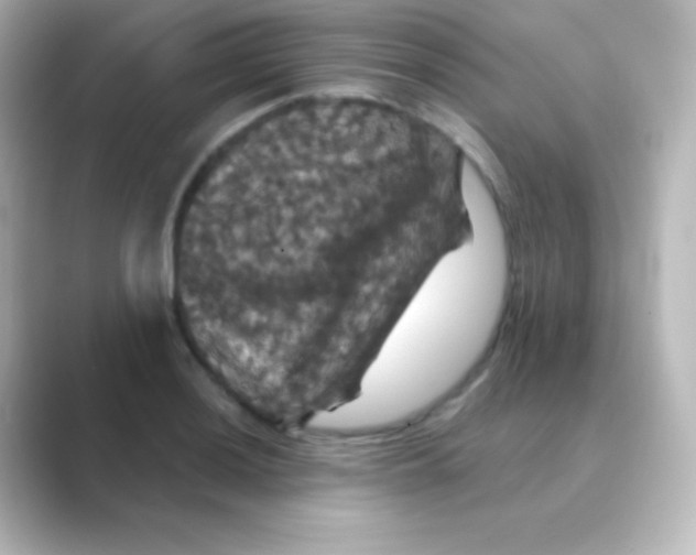 X0000088691036200706211923