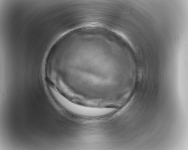 X0000088691038200706211923