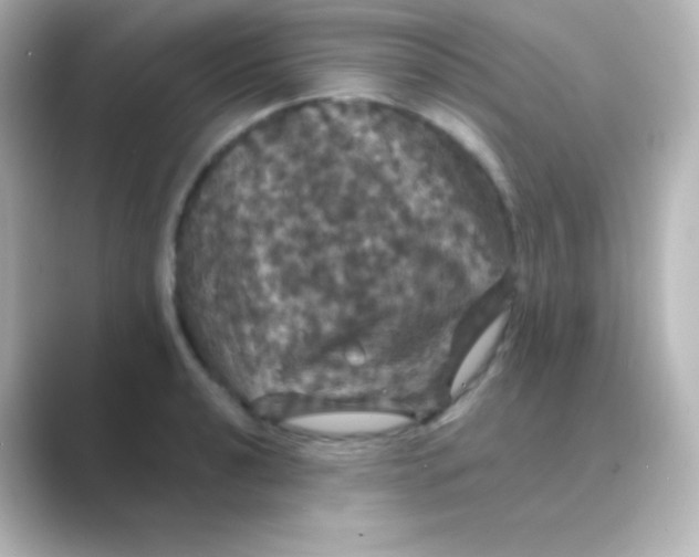 X0000088691040200706211923