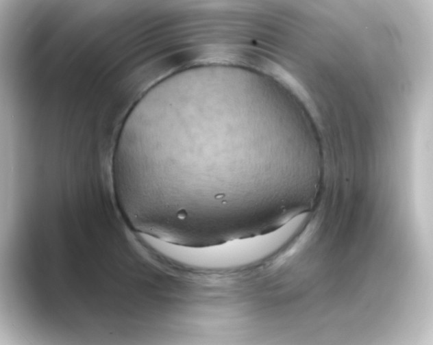 X0000088691041200706211923